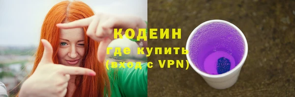 гидра Богородицк