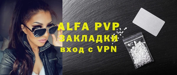 гидра Богородицк